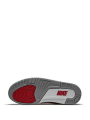 Air Jordan 3 Retro SE